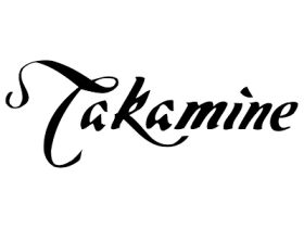 Rental Hire of Takamine Acoustic Guitars in Mallorca