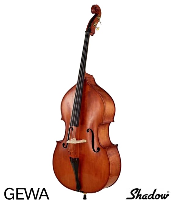 Rental of  Gewa double bass with pick up in Mallorca