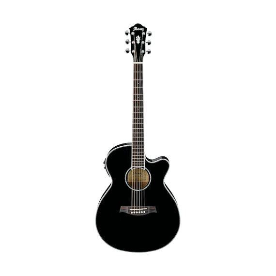 Rent Ibanez AEG10 II-BK classical guitar in Mallorca